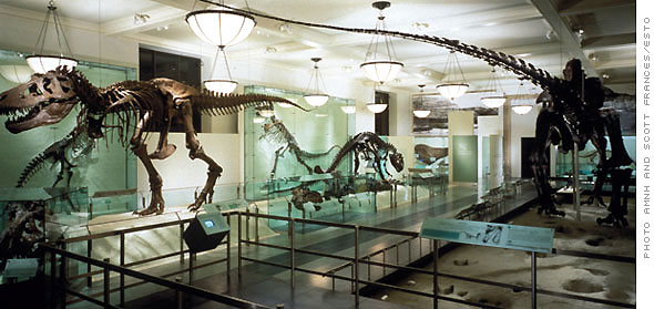 Museu de história natural